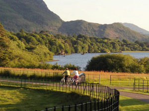 Muckross cycling route