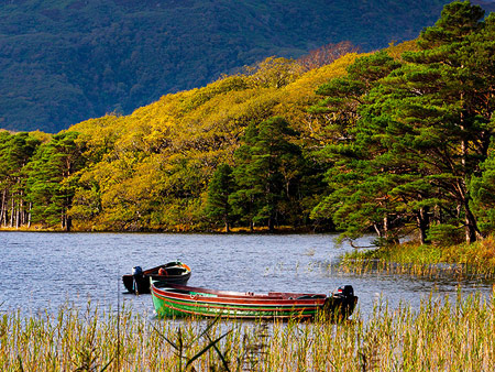 Killarney National Park