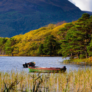 Killarney National Park bikes