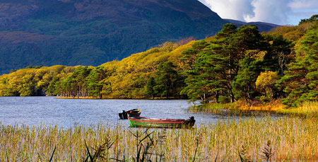 Cycling in Killarney National Park